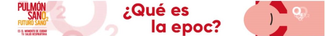 Pulmón sano