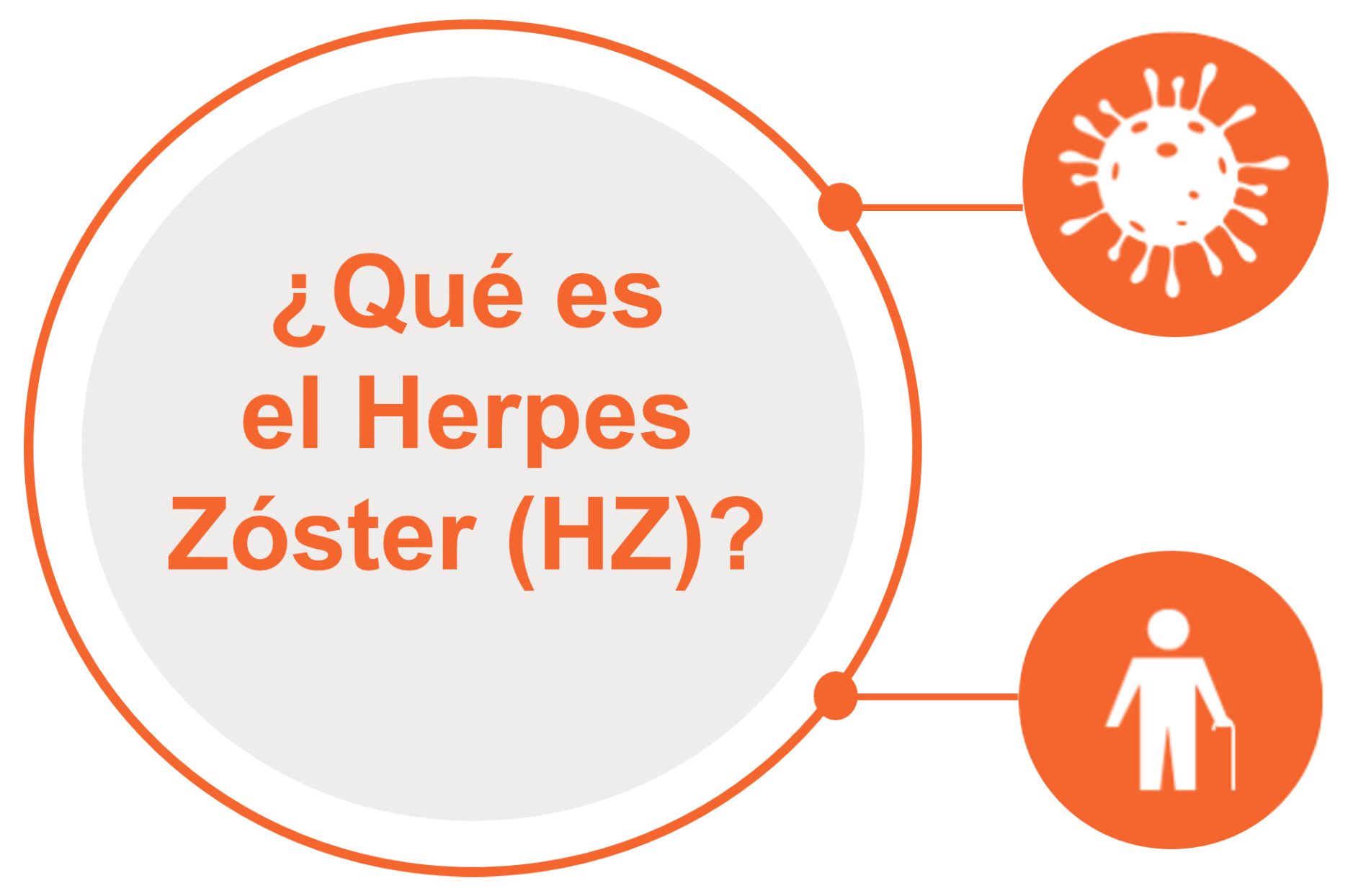 Infografía ¿Qué es el Herpes Zóster?