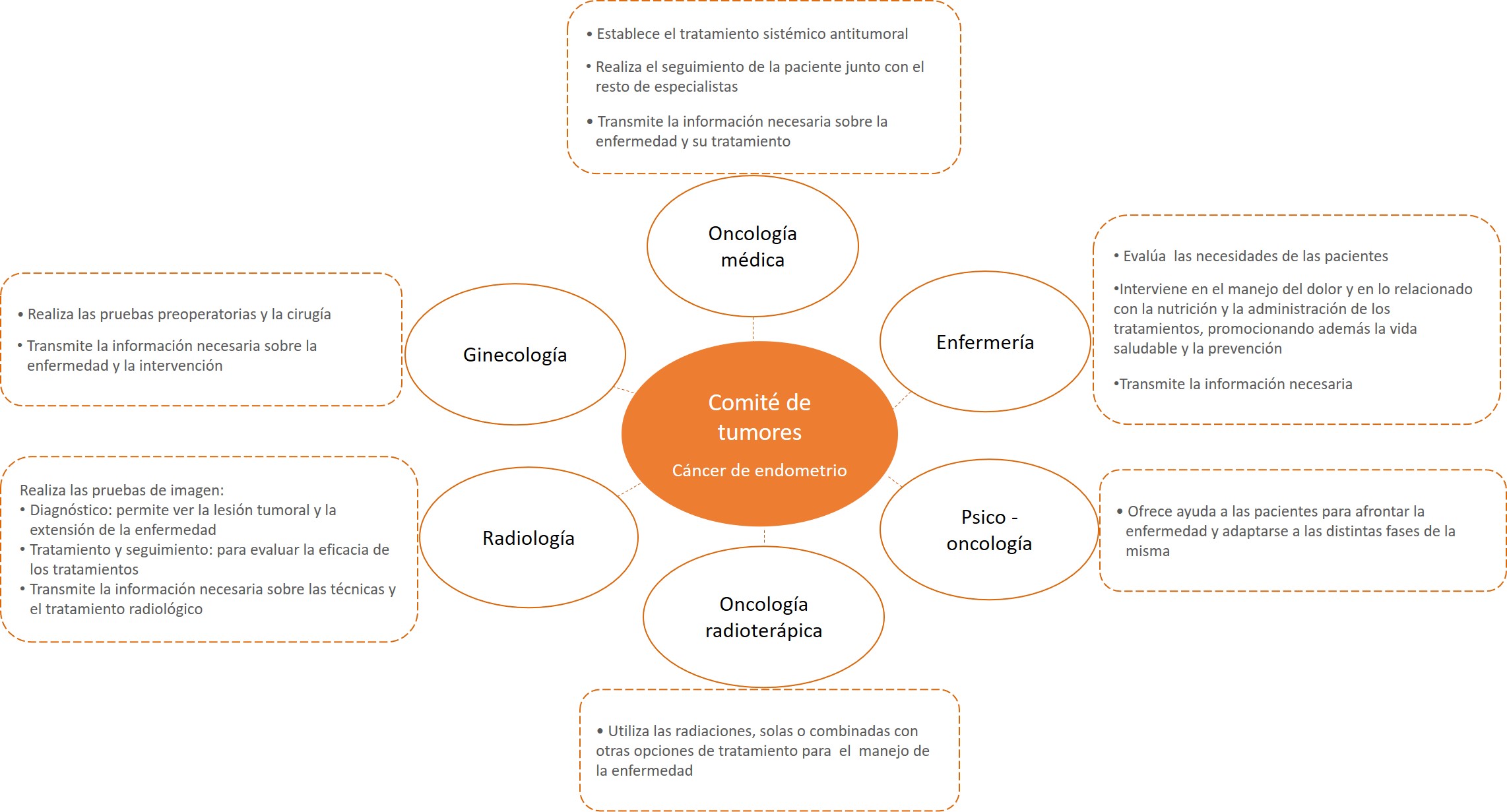 comité de tumores - equipo multidisciplinar cáncer de endometrio