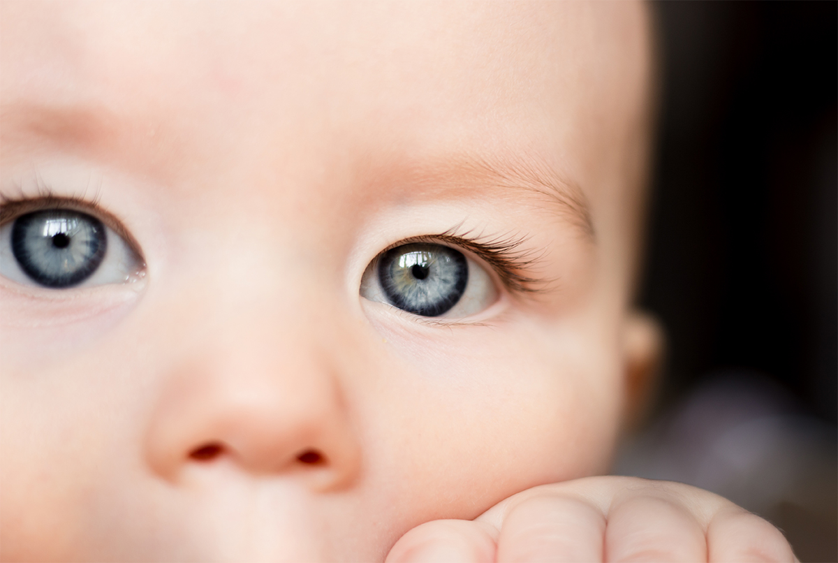 593446961 Todo sobre la infección por Rotavirus