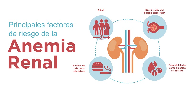 Diagnóstico de la anemia renal